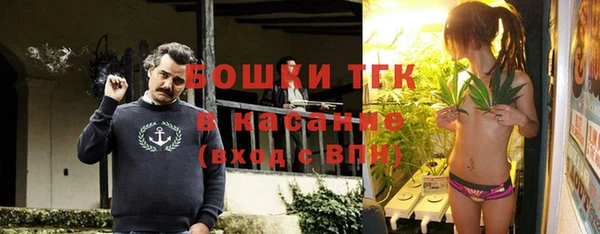 индика Алексеевка