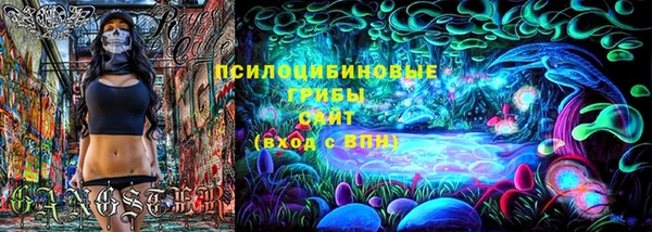герыч Алексин